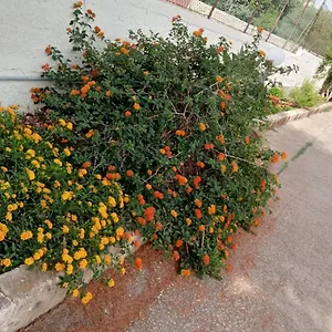 https://dependance.sicilyhotelsitaly.net